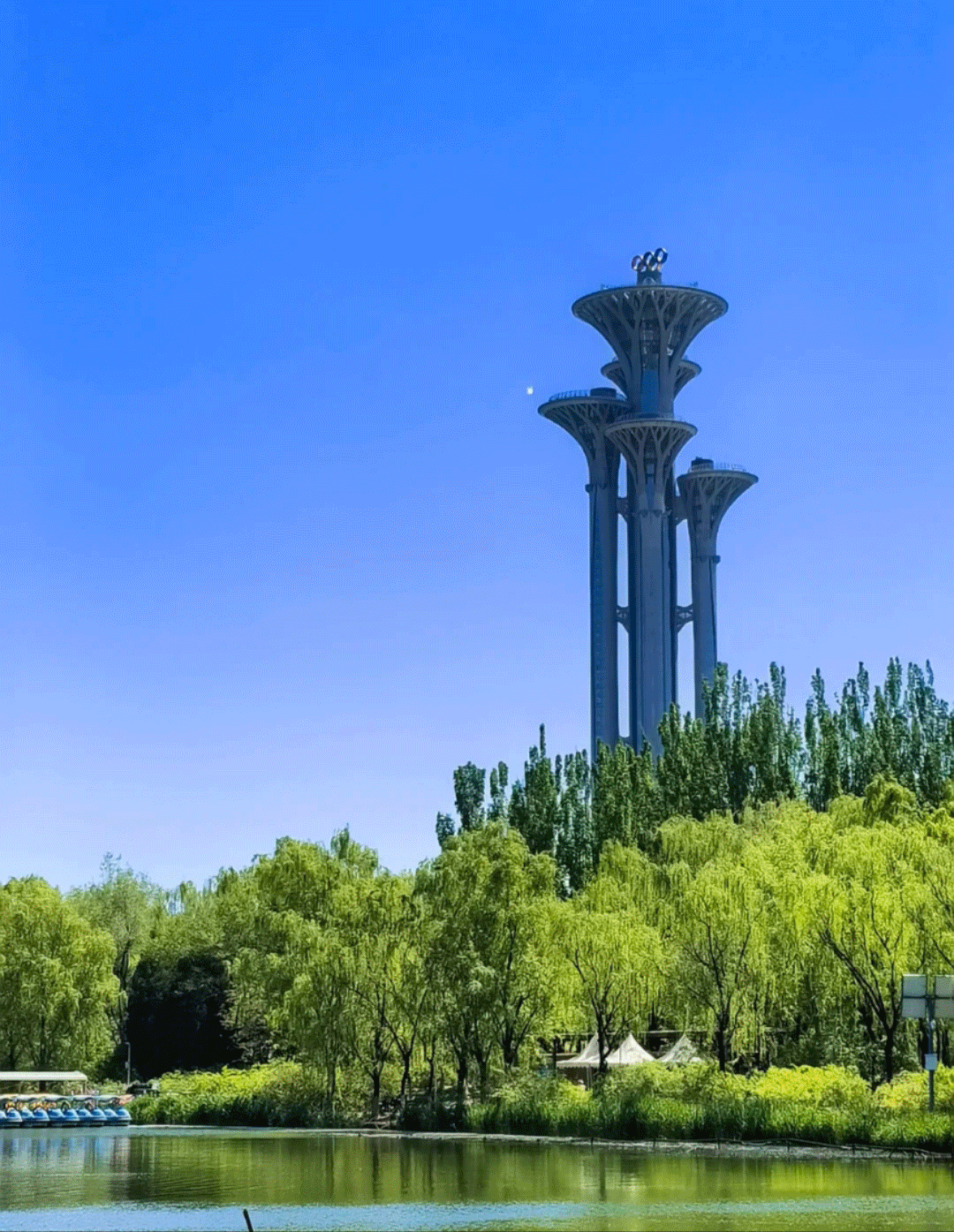 奥林匹克动.gif