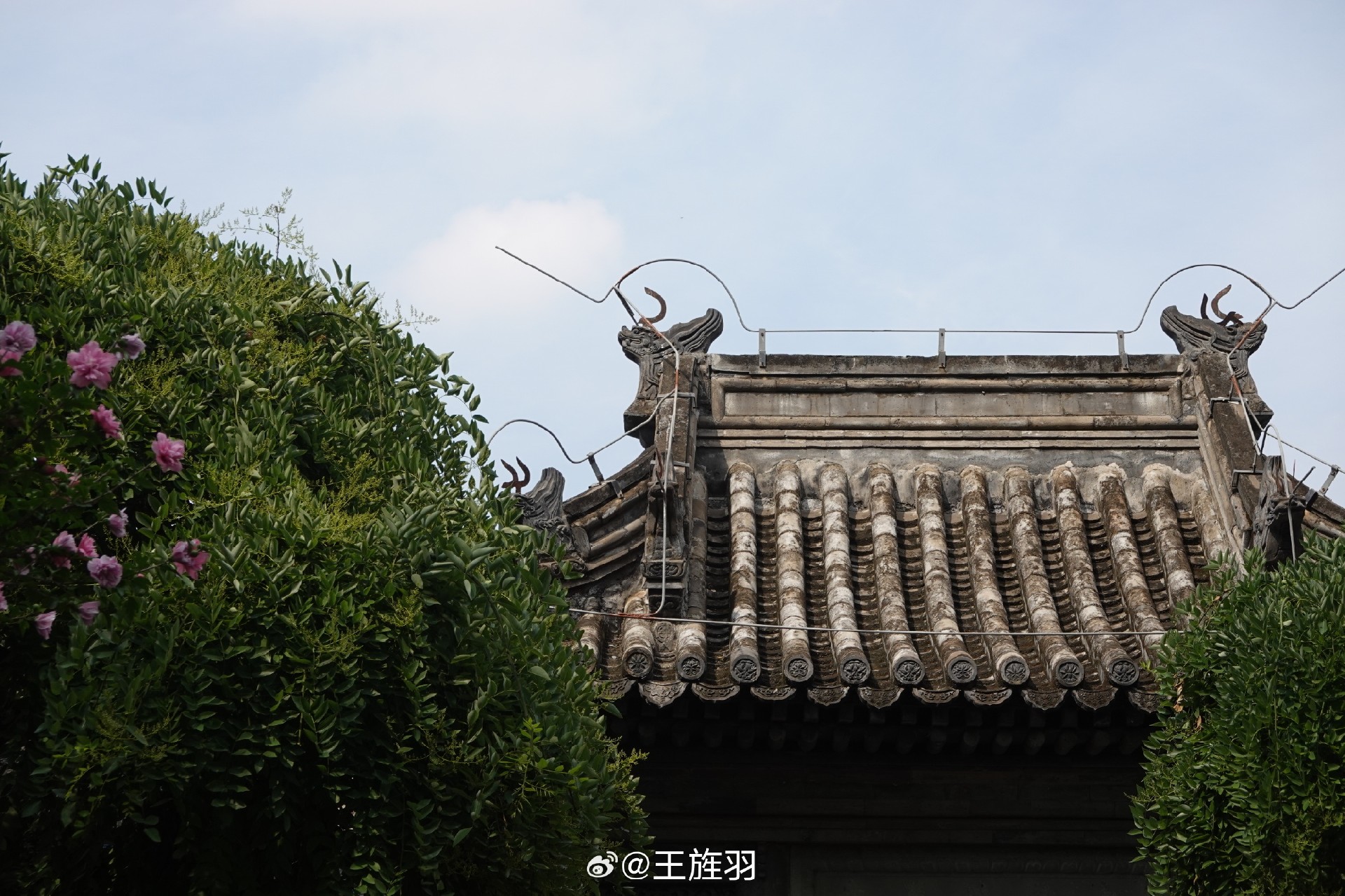 1751790290902409.jpg 什刹海28.jpg