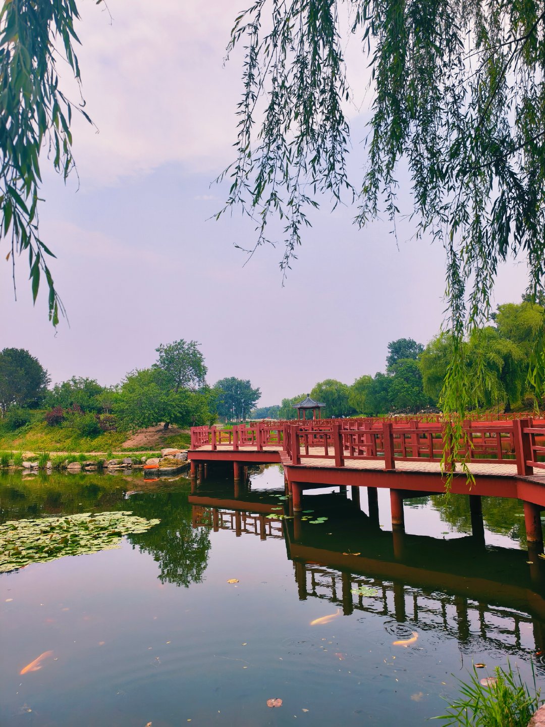 圆明园2.jpg