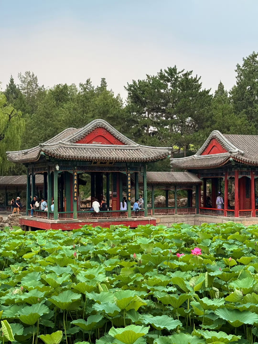1751703235132913.jpg 颐和园25.jpg