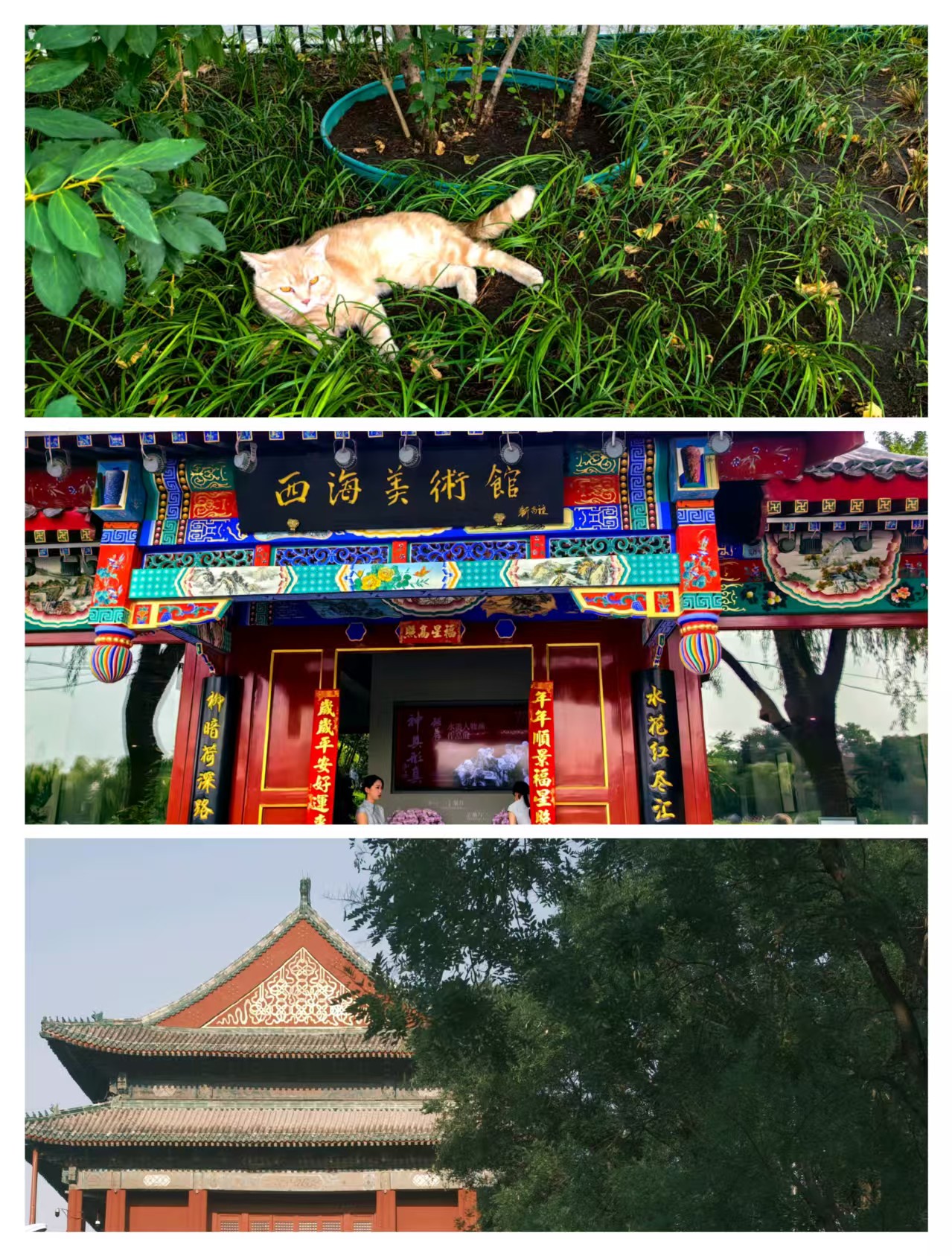 1751766140151575.jpg 拼图1.jpg