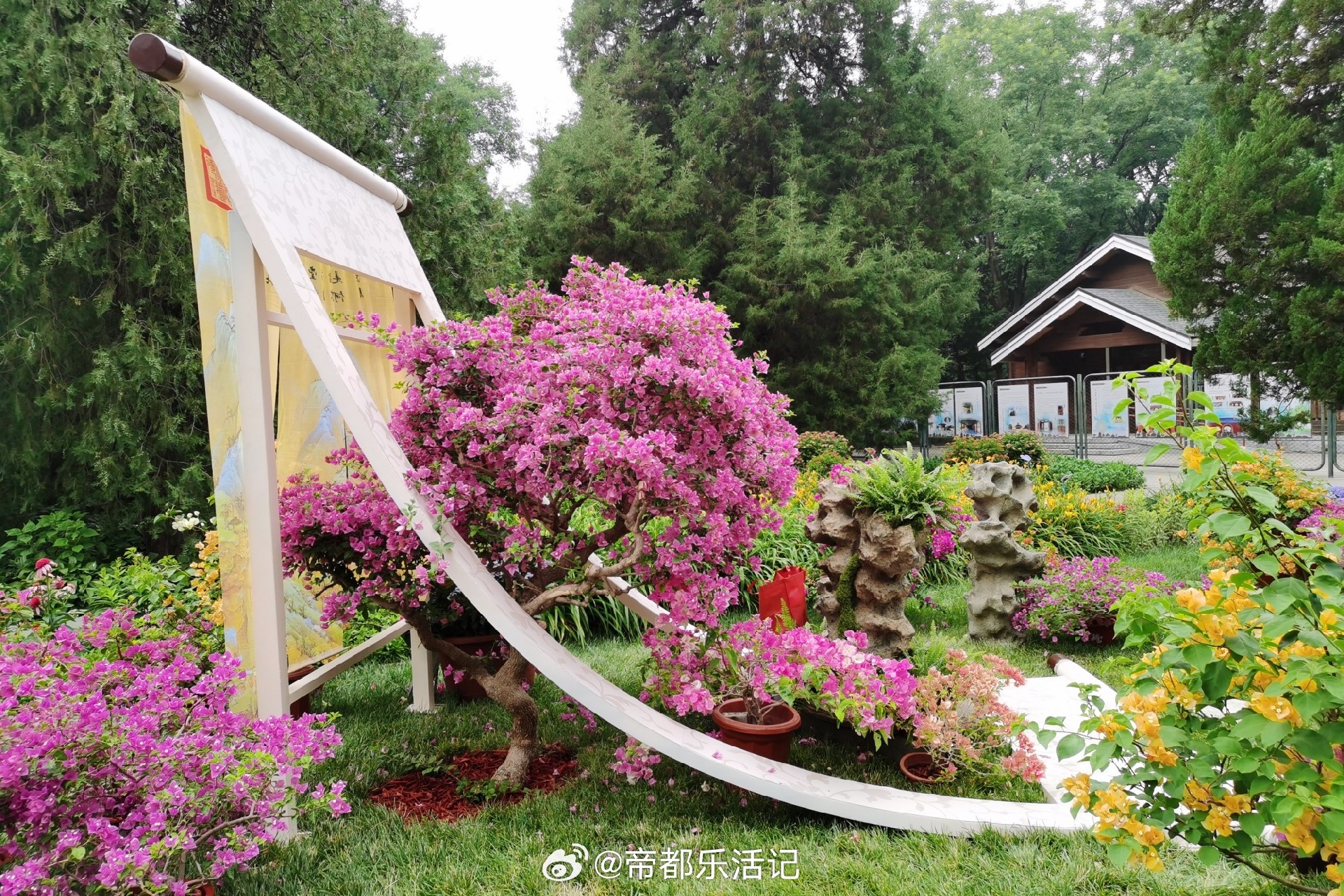 1751768297371673.jpg 天坛12.jpg