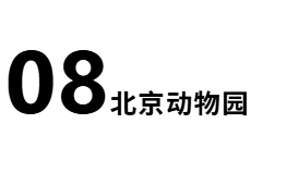 1751769621166725.png 动物园6.png