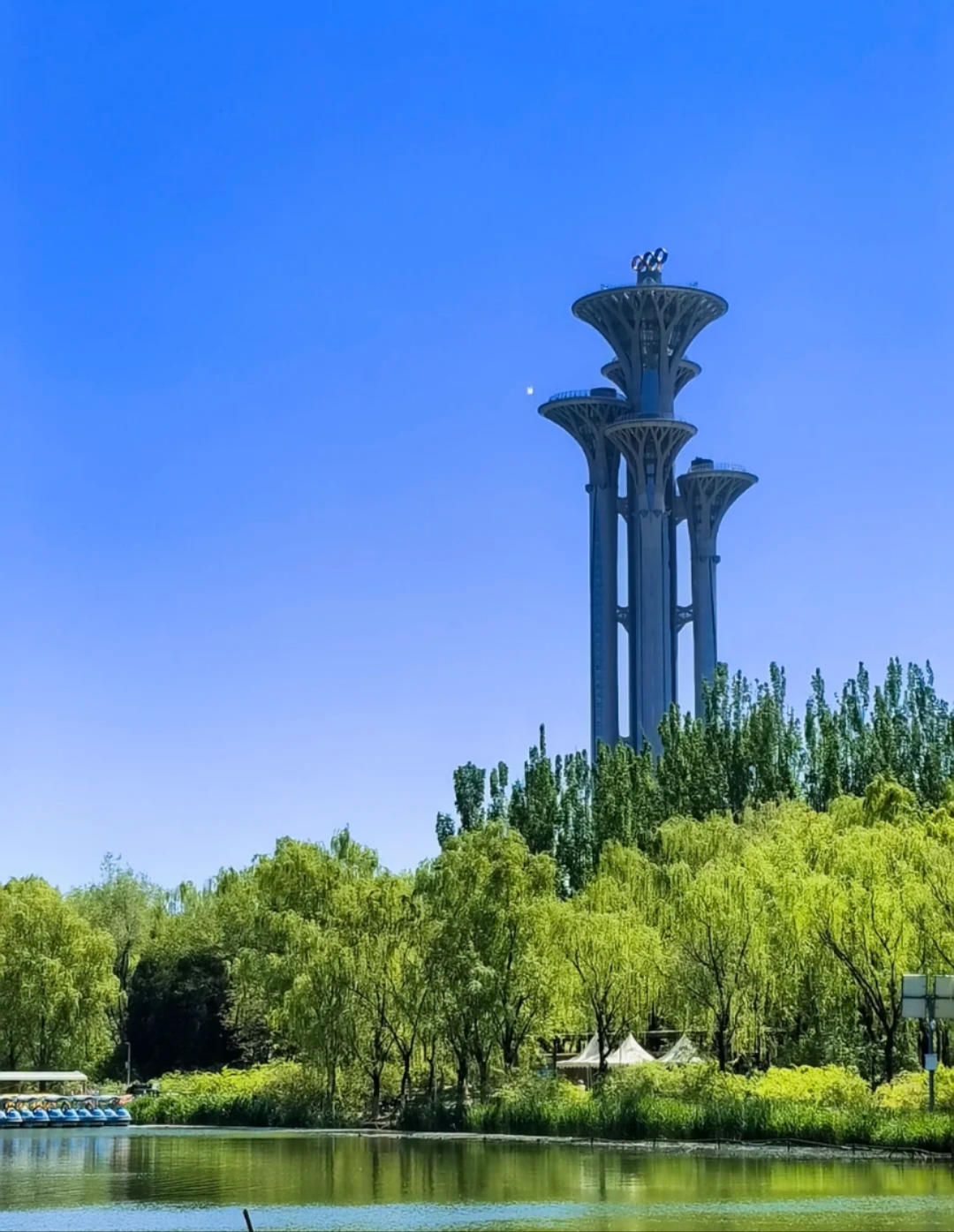 1751770774600505.jpg 奥林匹克4.jpg