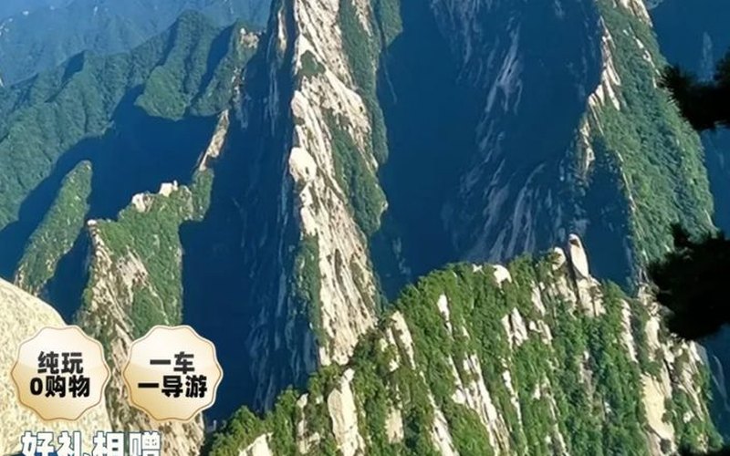 问道华山·西安5天4晚（新韦自组·嘉兴南湖机场直飞·纯玩0购物）